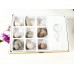 Fossils Collection kit of 9 Fossils, 1 magnifier glass and  small colorful book about Fossils 