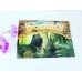 Fossils Collection kit of 9 Fossils, 1 magnifier glass and  small colorful book about Fossils 