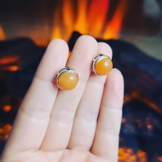 Carnelian Studded silver tone earrings
