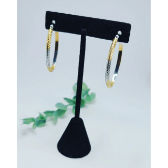 Gold and Silver tone combination Hoop earrings