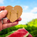 Summer Crush Watermelon Earrings